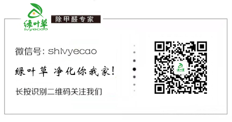 綠葉草