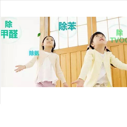 上門除甲醛！你真的了解嗎？