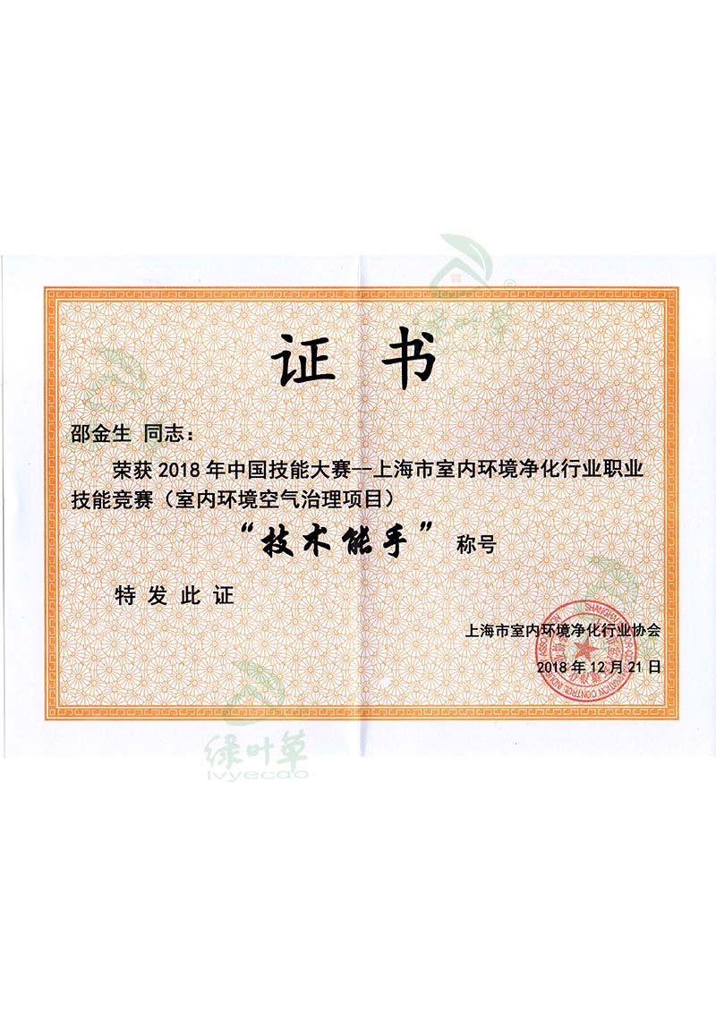 技術(shù)能手證書
